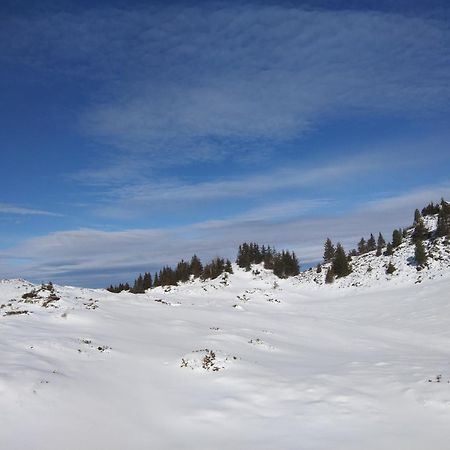 Le Chalet Theys Kültér fotó