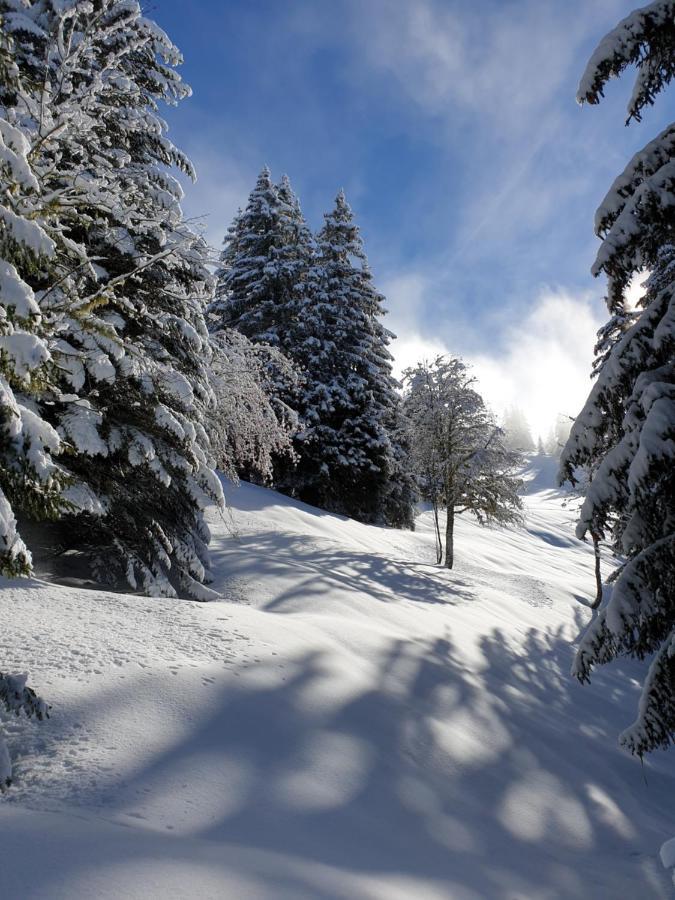 Le Chalet Theys Kültér fotó